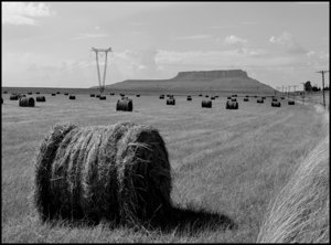 South Africa distant view grass