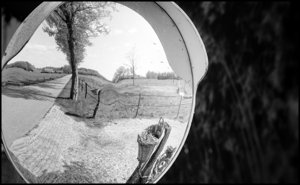 Reflections of a Countryside Road