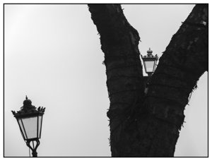 City Walk on ar rainy day in Kampen (NL)